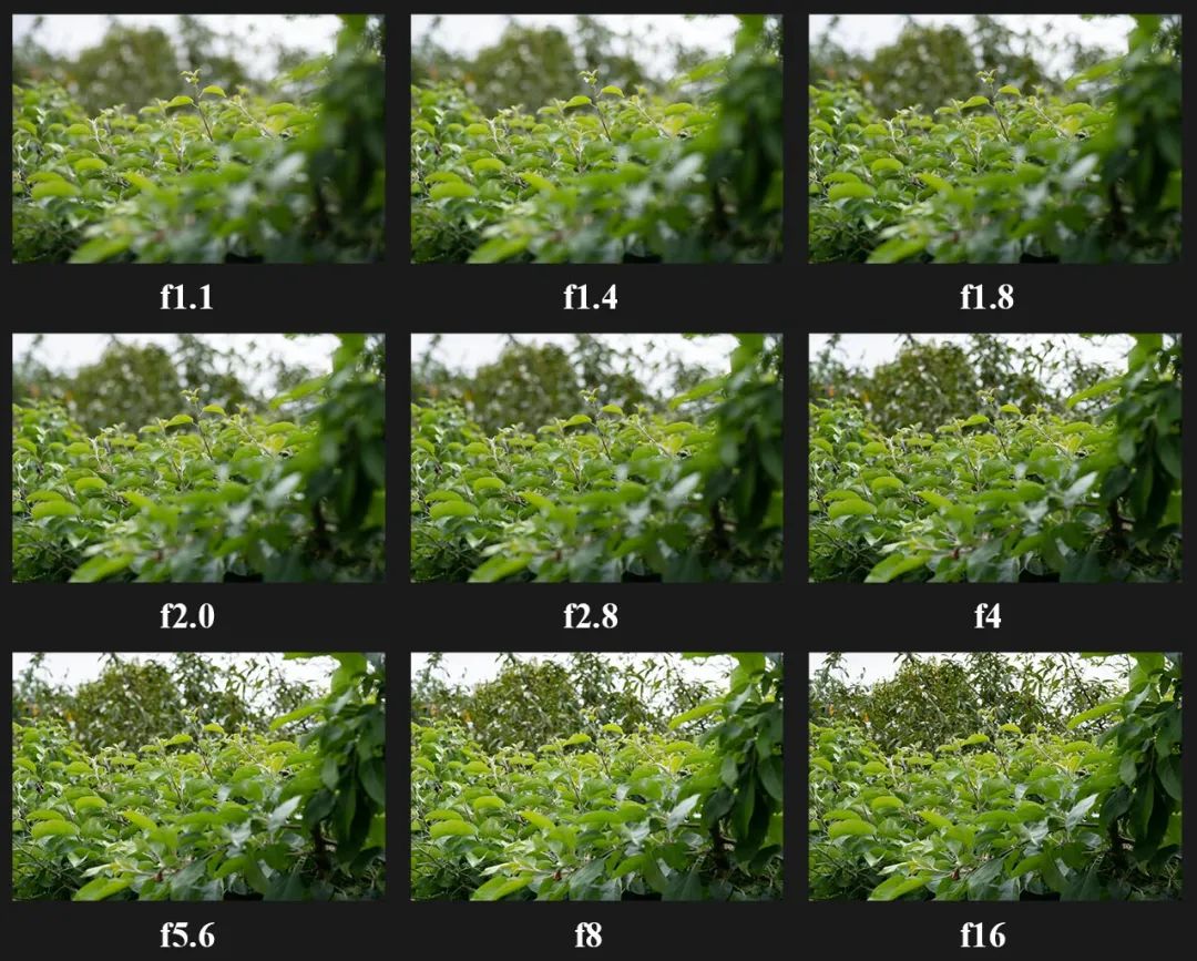 e474e2052d9745ddb6b1de157fefe2fa.jpg